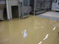 Samorazlivni epoksi tlak v splosni bolnisnici Novo Mesto